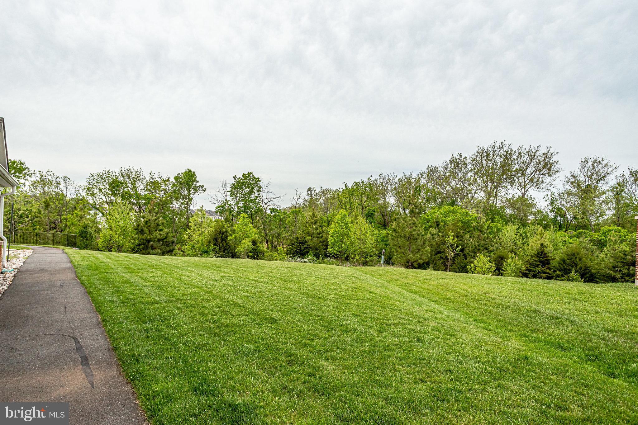 20580 Hope Spring Terrace, Unit 207 Ashburn, VA 20147 - Photo 57 of 61 a view of a grassy field with trees