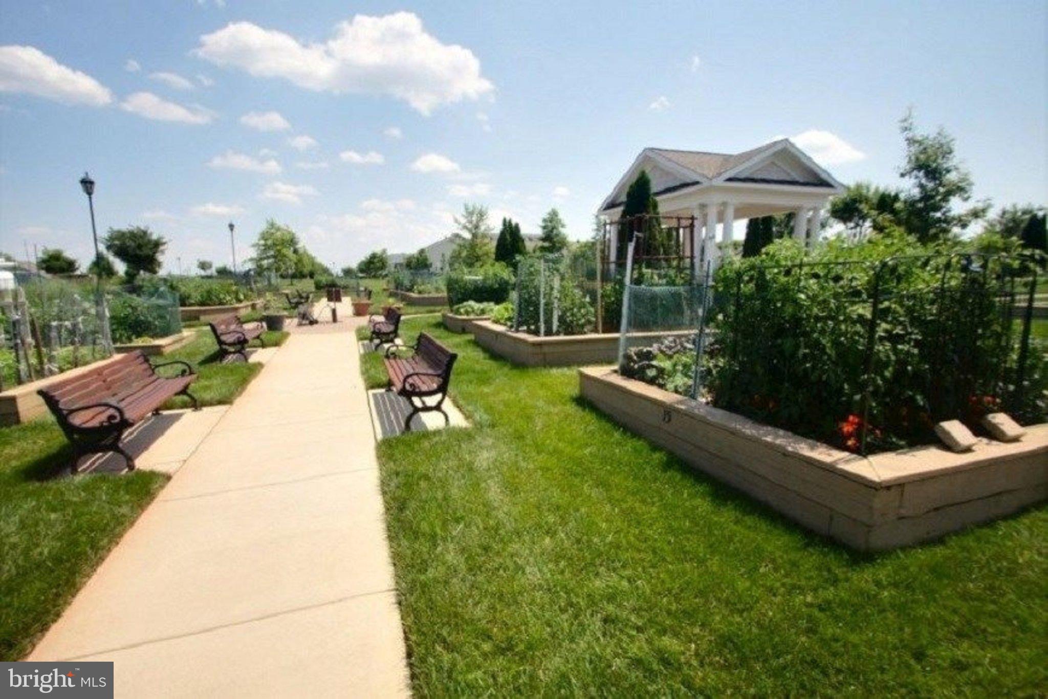 20580 Hope Spring Terrace, Unit 207 Ashburn, VA 20147 - Photo 59 of 61 a view of a swimming pool with a patio and a garden