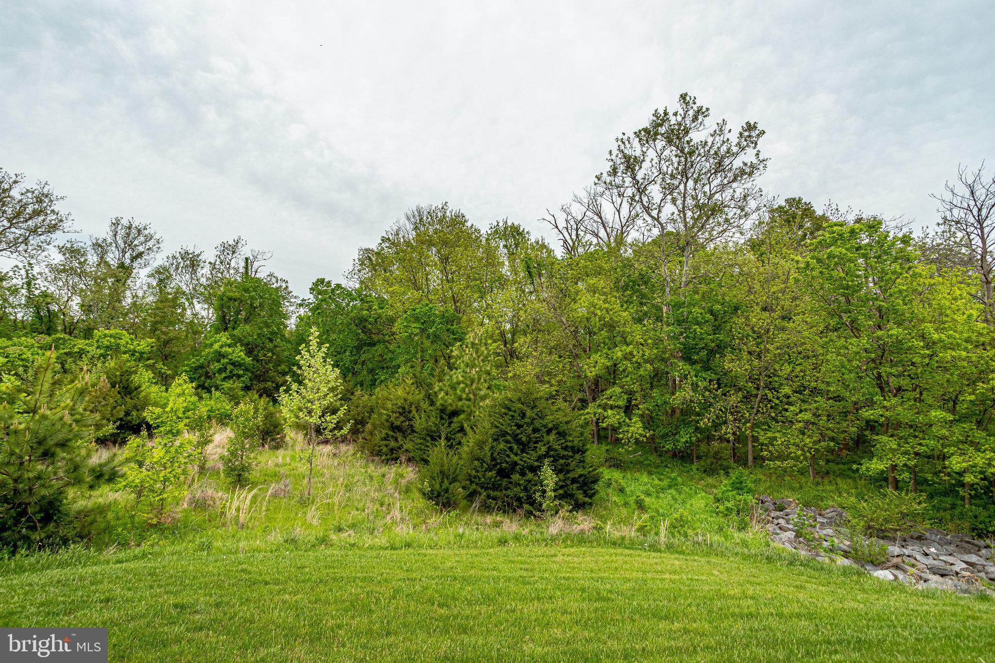 20580 Hope Spring Terrace, Unit 207 Ashburn, VA 20147 - Photo 60 of 61 a view of a garden