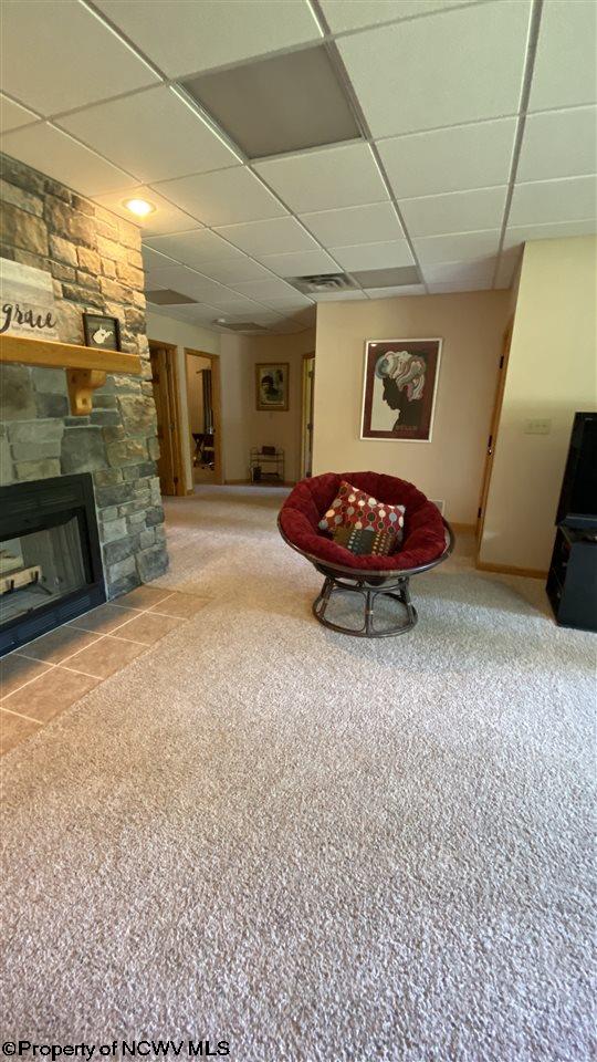 537 Lassiter Road Ellamore, WV 26267 - Photo 20 of 30 Gallery Image 20