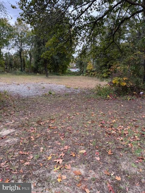 707 Lenz Avenue Southampton, NJ 08088 - Photo 4 of 4 a view of a forest with trees in the background