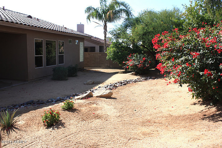 4366 East Briles Road Phoenix, AZ 85050 - Photo 12 of 14 Backyard