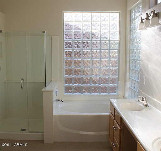 4366 East Briles Road Phoenix, AZ 85050 - Photo 7 of 14 Master Bath