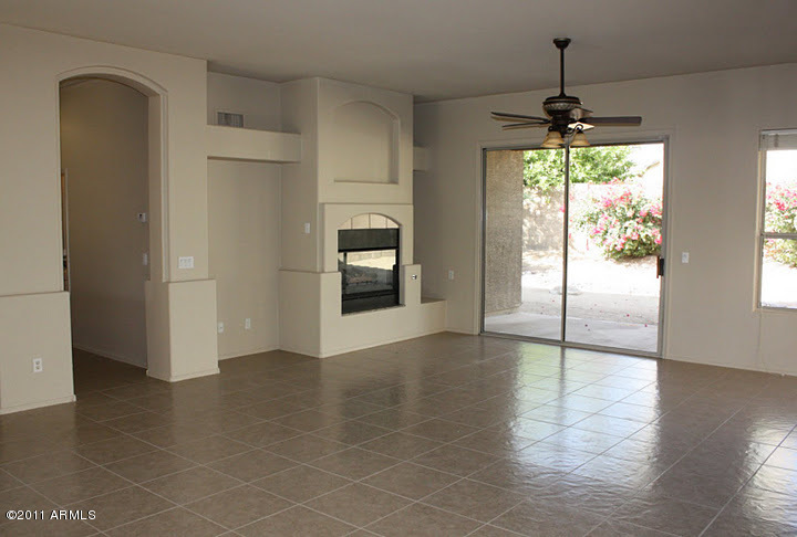 4366 East Briles Road Phoenix, AZ 85050 - Photo 9 of 14 Fireplace
