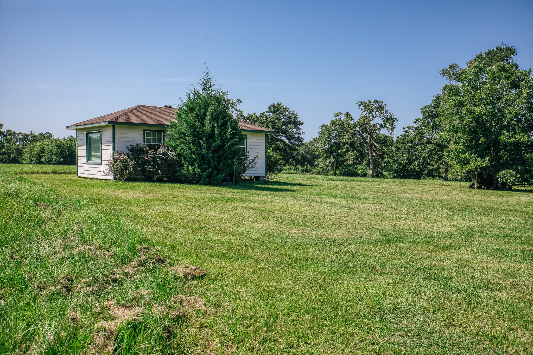10671 Hidalgo Falls Road Washington, TX 77880 - Photo 8 of 31