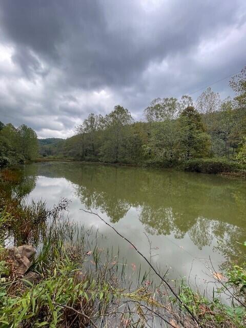 219-3 Co Route Marlinton, WV 24954 - Photo 21 of 22 Gallery Image 21