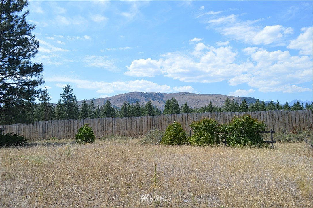 84 Horizon Flats Road Winthrop, WA 98862 - Photo 24 of 24 Gallery Image 24