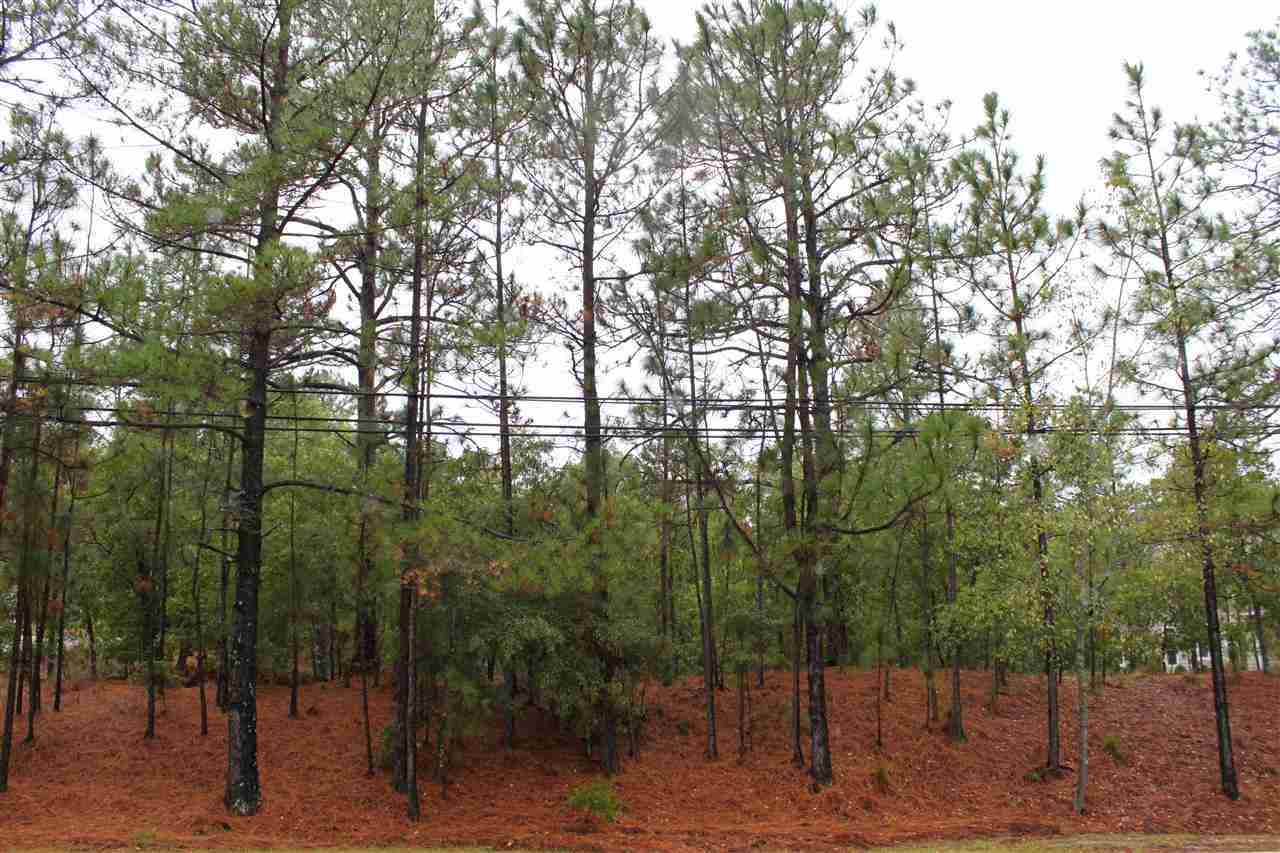 175 McKenzie Road East Pinehurst, NC 28374 - Photo 1 of 1 Primary Photo