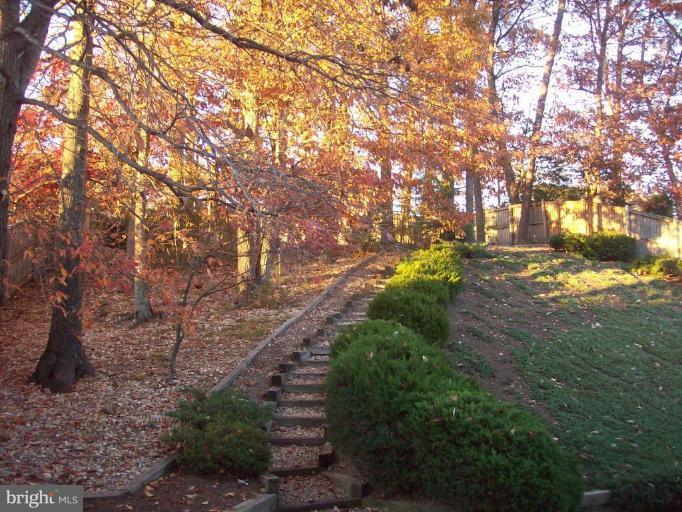 3136 Beethoven Way Silver Spring, MD 20904 - Photo 2 of 22 Backyard view