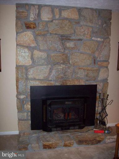 3136 Beethoven Way Silver Spring, MD 20904 - Photo 11 of 22 Wood burning stone fireplace