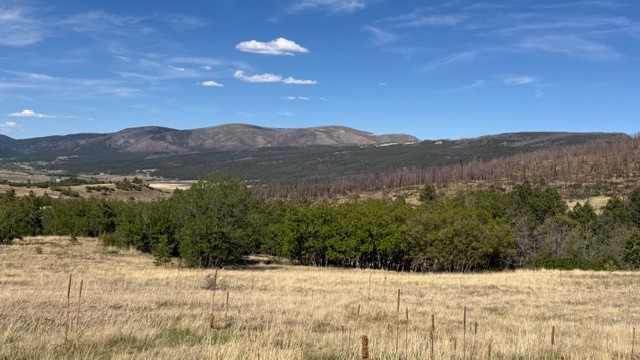 24.61-acres Los Alamitos Road Chacon, NM 87713 - Photo 7 of 12