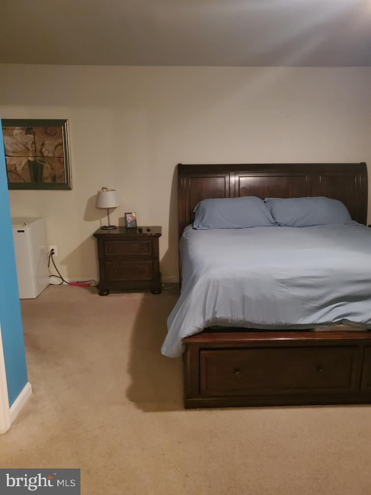 12292 Old Pen Mar Road Waynesboro, PA 17268 - Photo 20 of 34 Master BR