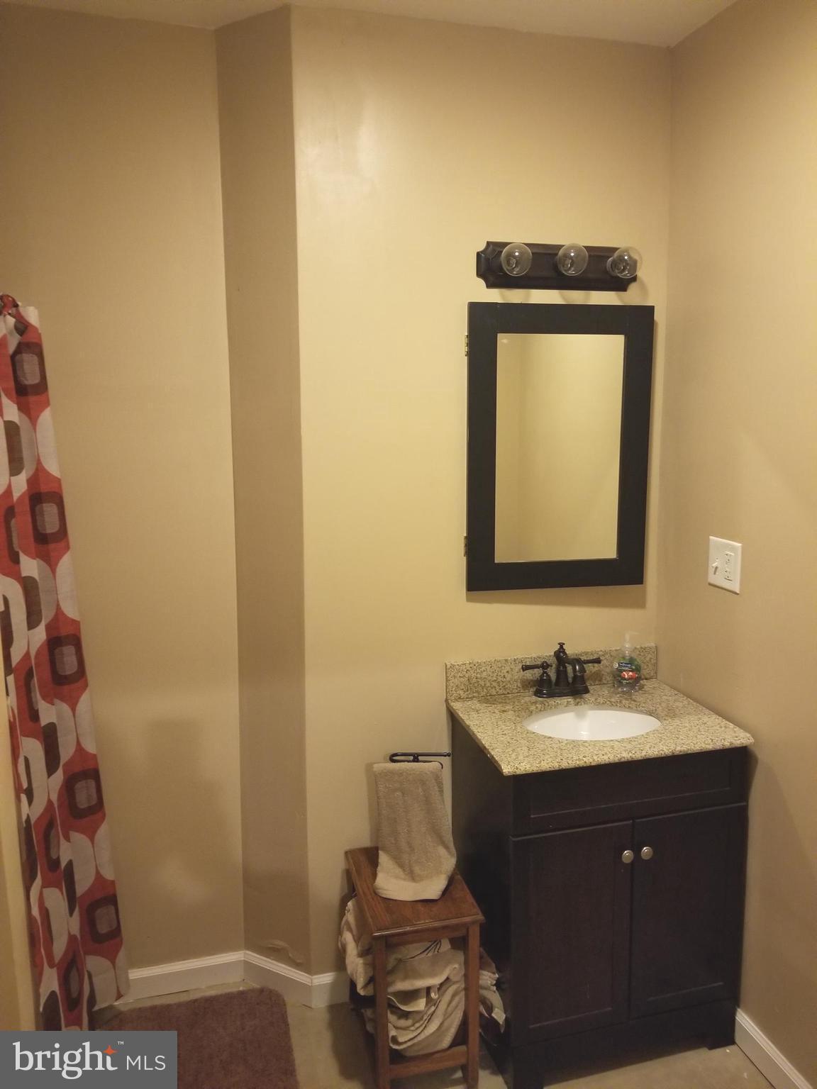 12292 Old Pen Mar Road Waynesboro, PA 17268 - Photo 34 of 34 Downstairs full bath