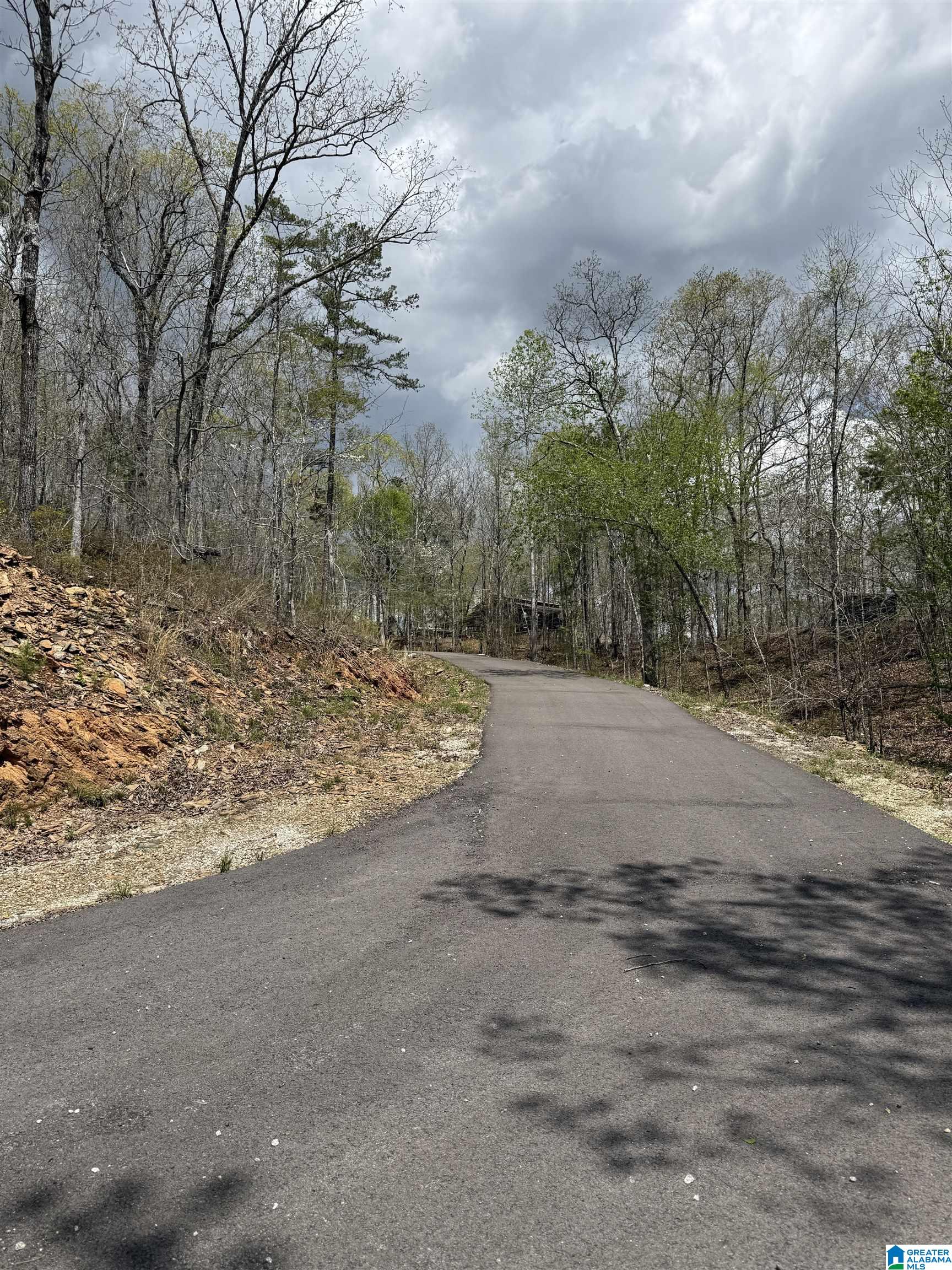 Ginhouse Point, Unit 29 Wedowee, AL 36278 - Photo 8 of 10
