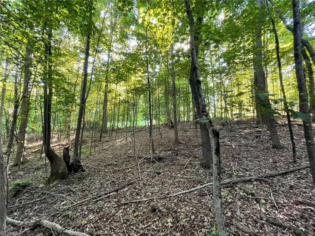 Tbd Brookfall Dairy Road Elkin, NC 28621 - Photo 2 of 9 Gallery Image 2