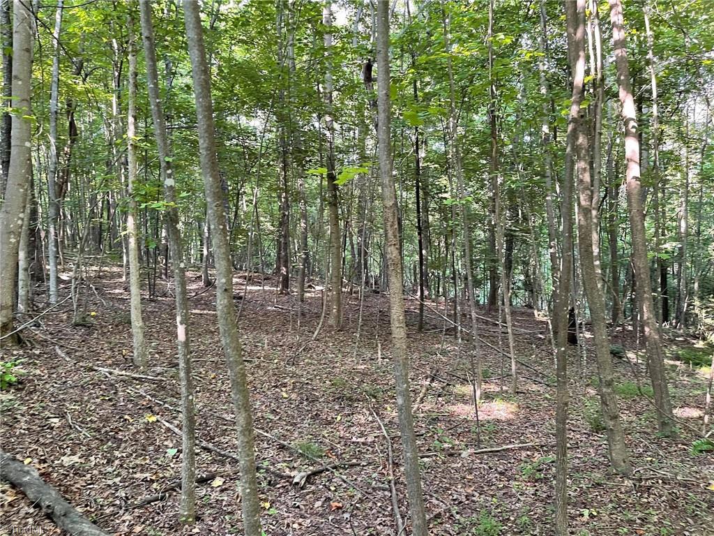 Tbd Brookfall Dairy Road Elkin, NC 28621 - Photo 3 of 9 Gallery Image 3