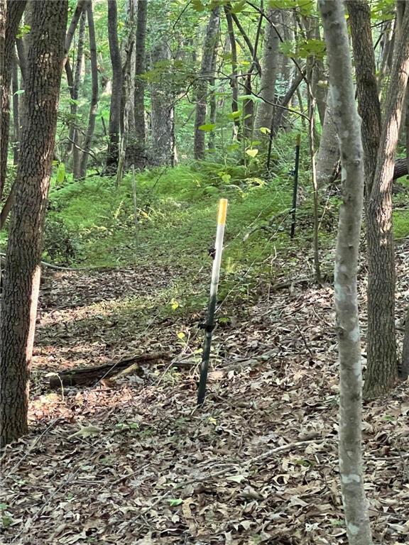 Tbd Brookfall Dairy Road Elkin, NC 28621 - Photo 8 of 9 Gallery Image 8