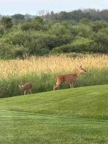 $499,900 | 13852 Geneva Avenue North, Hugo, MN 55038