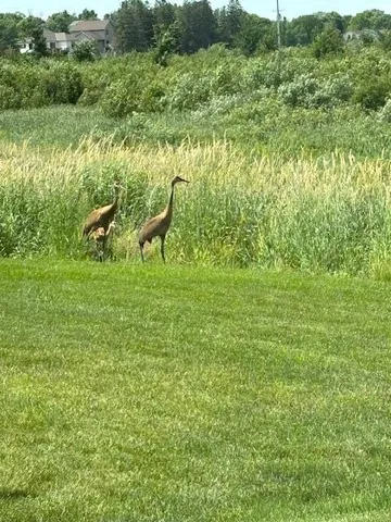 $499,900 | 13852 Geneva Avenue North, Hugo, MN 55038