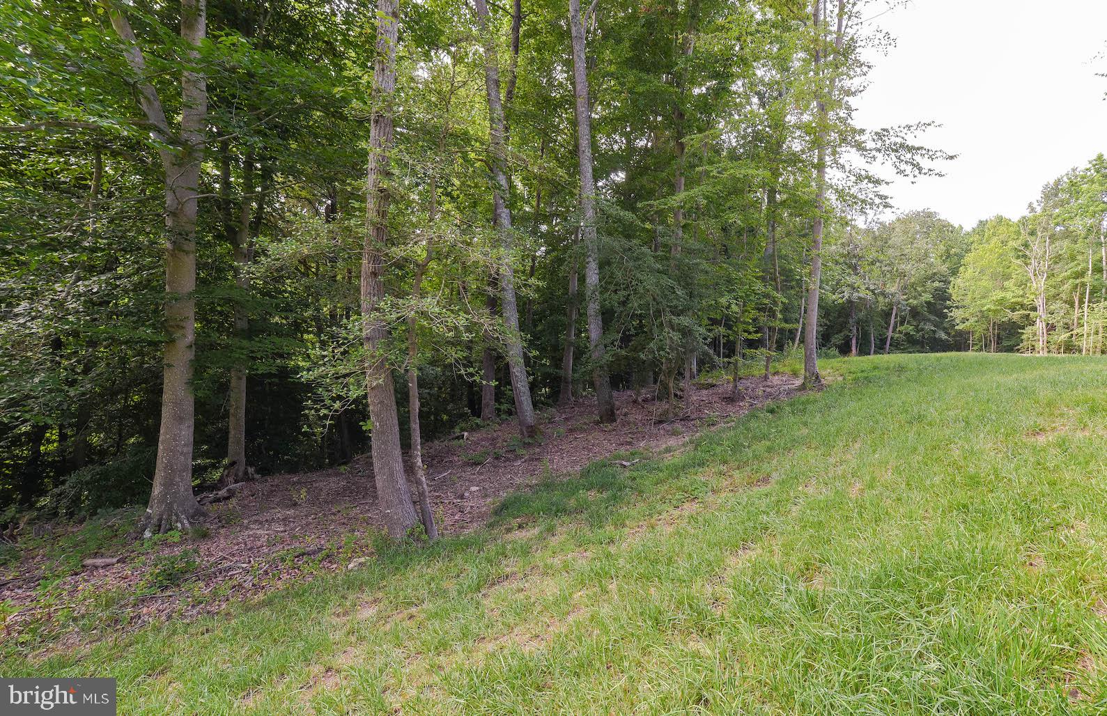 25102 Riva Lane Hollywood, MD 20636 - Photo 39 of 40 Side Yard