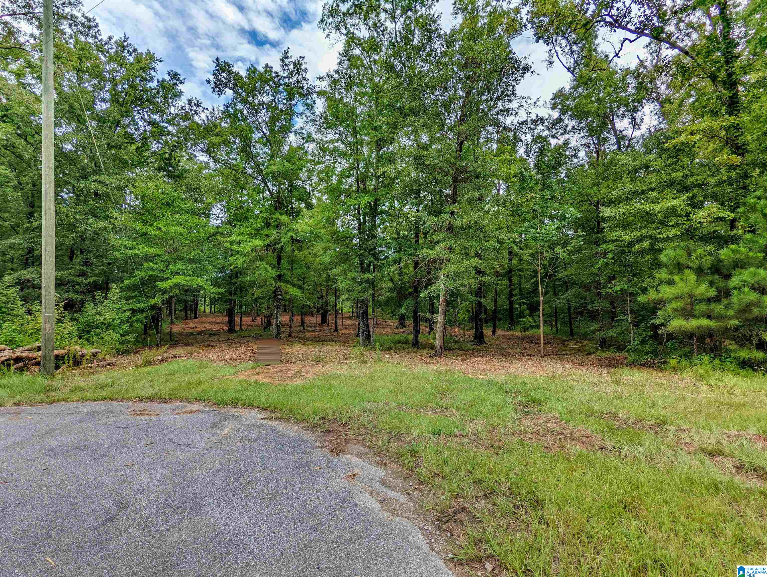 Lake Front Trail, Unit 2 Clanton, AL 35046 - Photo 3 of 12