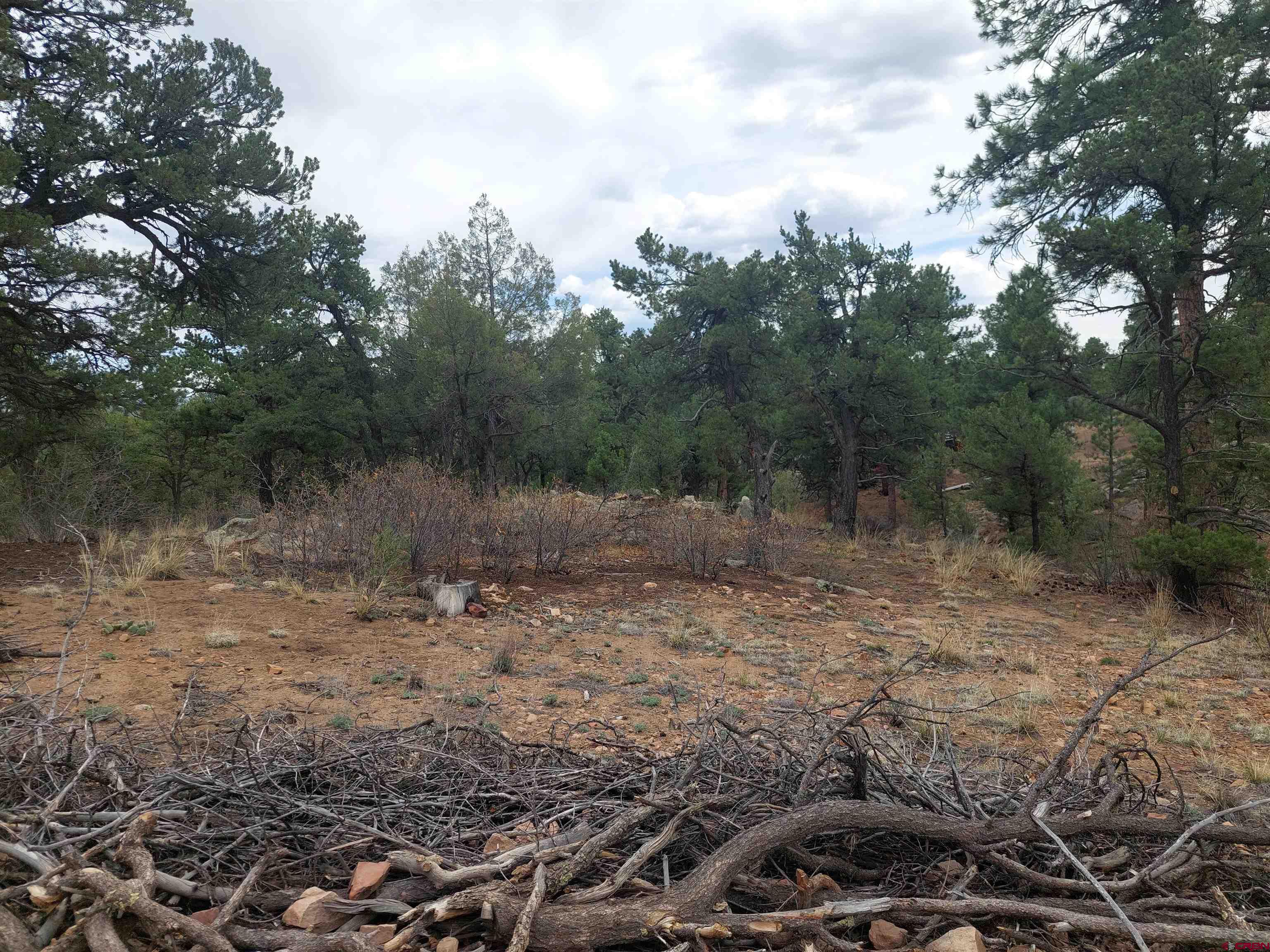 Tract-1 Tract-1 Q Path Cotopaxi, CO 81223 - Photo 21 of 22