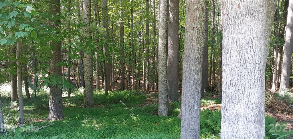 208 Ball Gap Road Arden, NC 28704 - Photo 32 of 37 Gallery Image 32