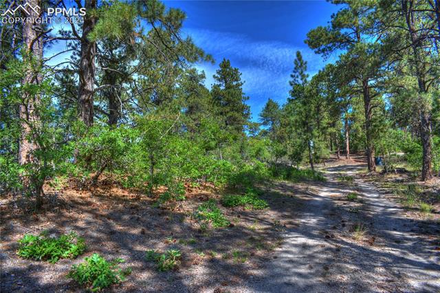 12760 Bridle Bit Road Colorado Springs, CO 80908 - Photo 2 of 7 Gallery Image 2