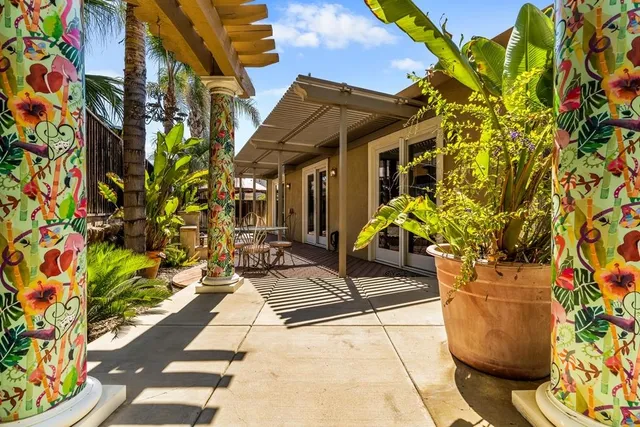 a view of a potted plants on the ground