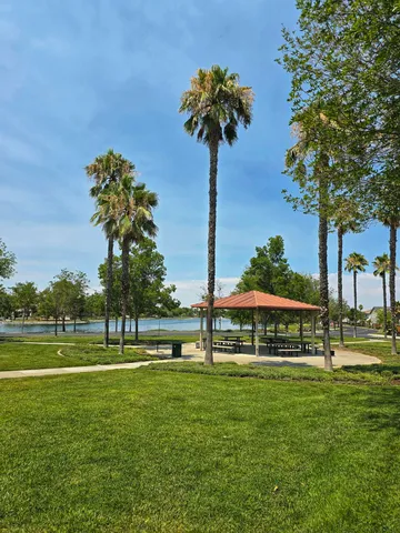 a view of a park with a tree