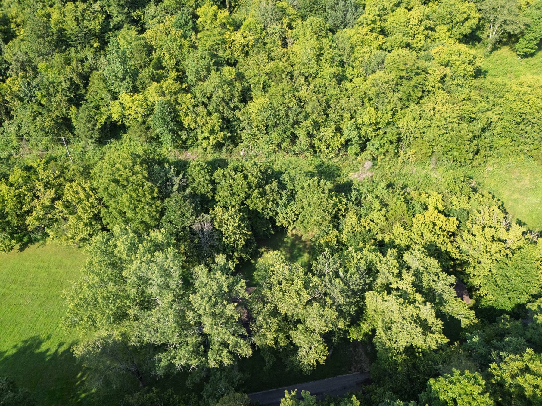 86 Dog Branch Road Pleasant Shade, TN 37145 - Photo 39 of 43 Gallery Image 39