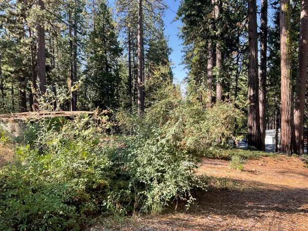 $39,000 | 791 Highway 4, Arnold, CA 95223