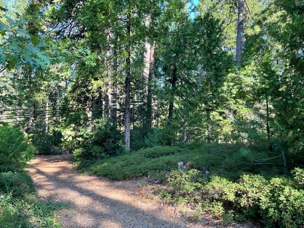 $39,000 | 791 Highway 4, Arnold, CA 95223