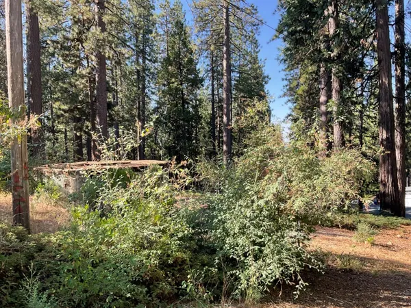 $39,000 | 791 Highway 4, Arnold, CA 95223