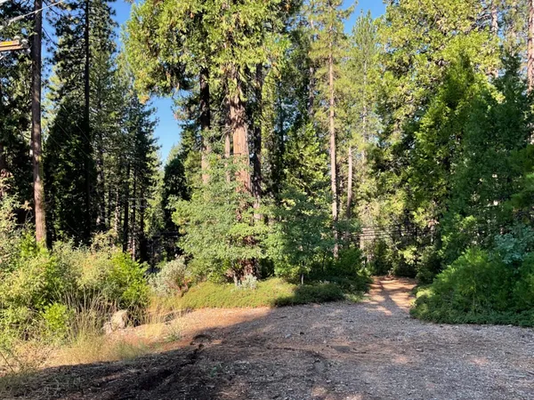 $39,000 | 791 Highway 4, Arnold, CA 95223