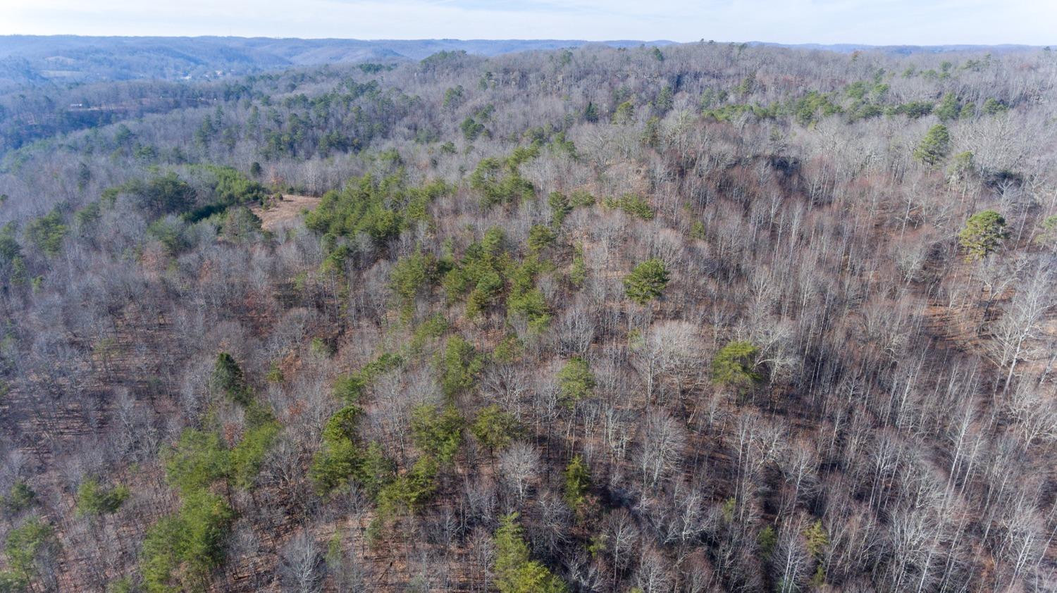 1077 Red Hill Road Livingston, KY 40445 - Photo 12 of 28 Listing Photo