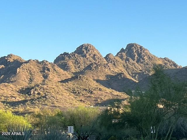 2901 East Las Rocas Drive Phoenix, AZ 85028 - Photo 16 of 47 a view of a dry yard with mountains in the background