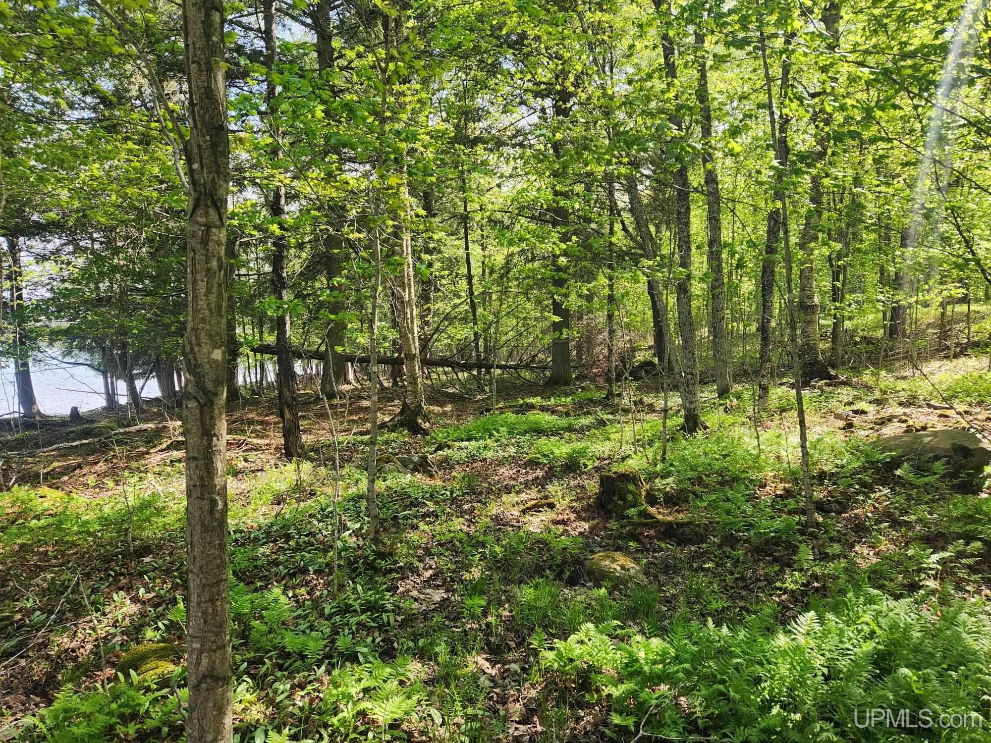 Lot 18 University Road Iron River, MI 49935 - Photo 32 of 36 Gallery Image 32