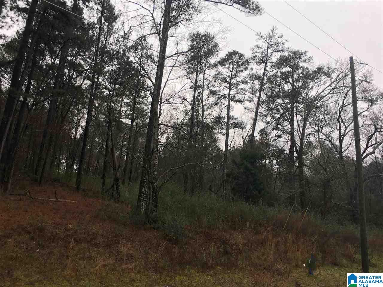 1245 Eureka Road, Unit 2 Lincoln, AL 35096 - Photo 8 of 32