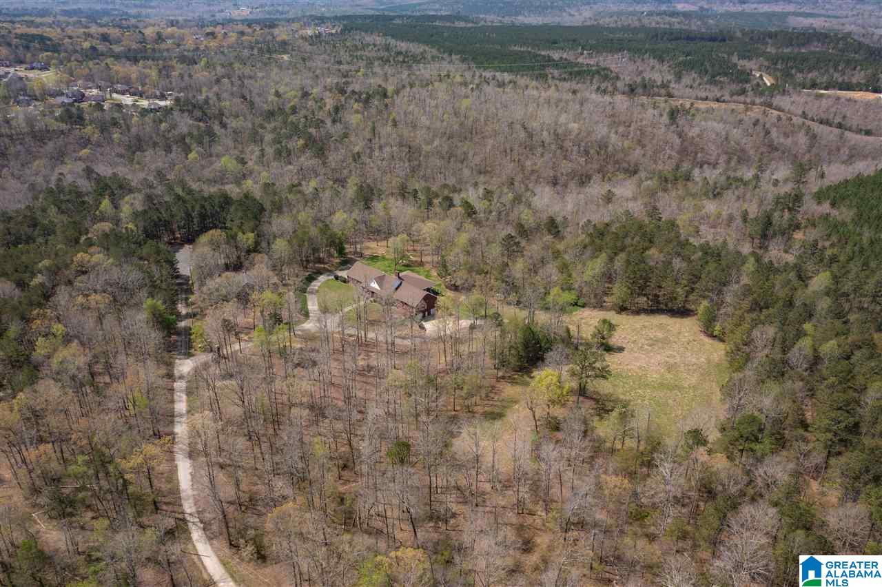 6000 McBee Farm Road Bessemer, AL 35023 - Photo 45 of 49