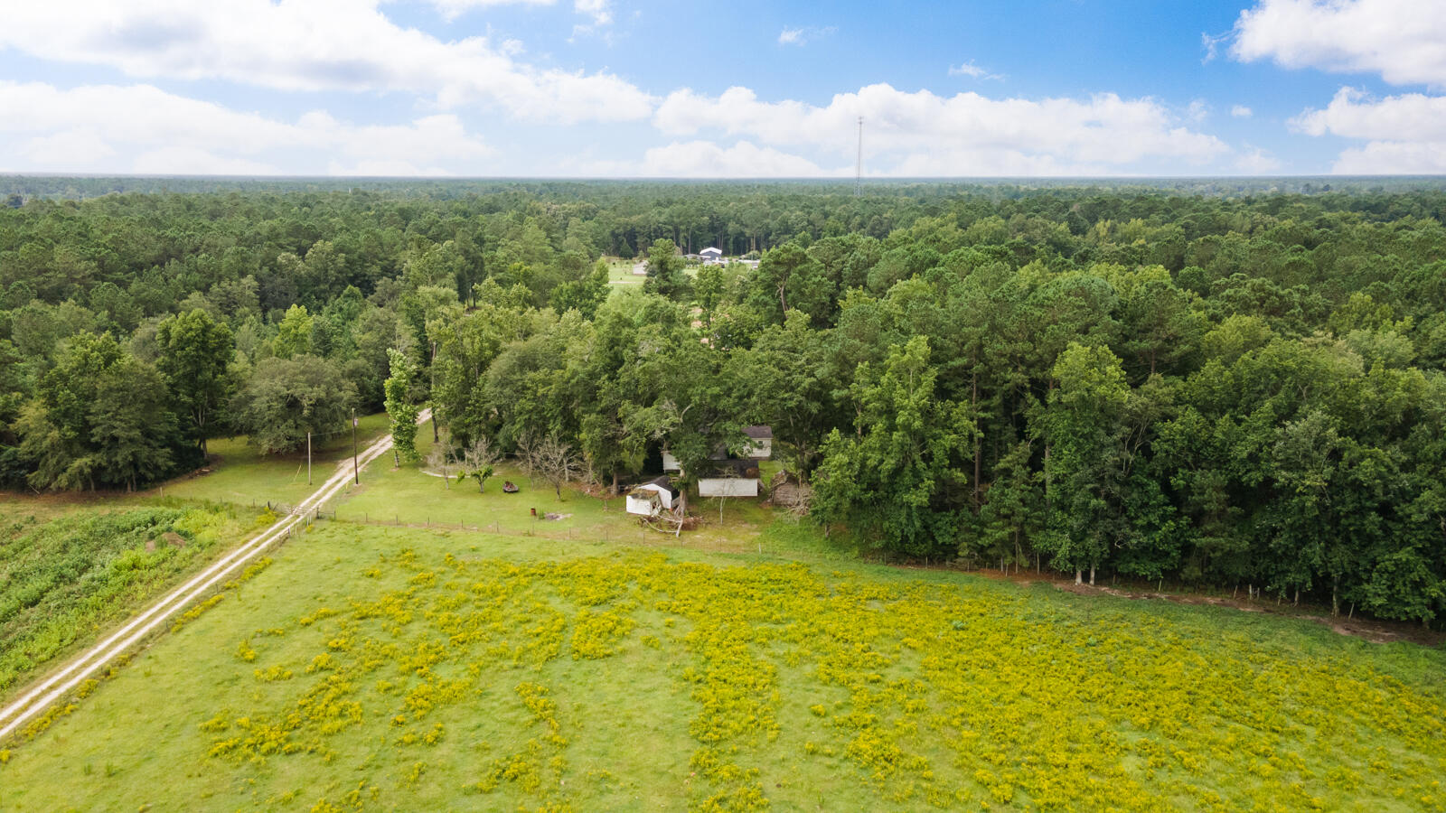 569 John Gatlin Road Bonneau, SC 29431 - Photo 37 of 37 DJI_0139