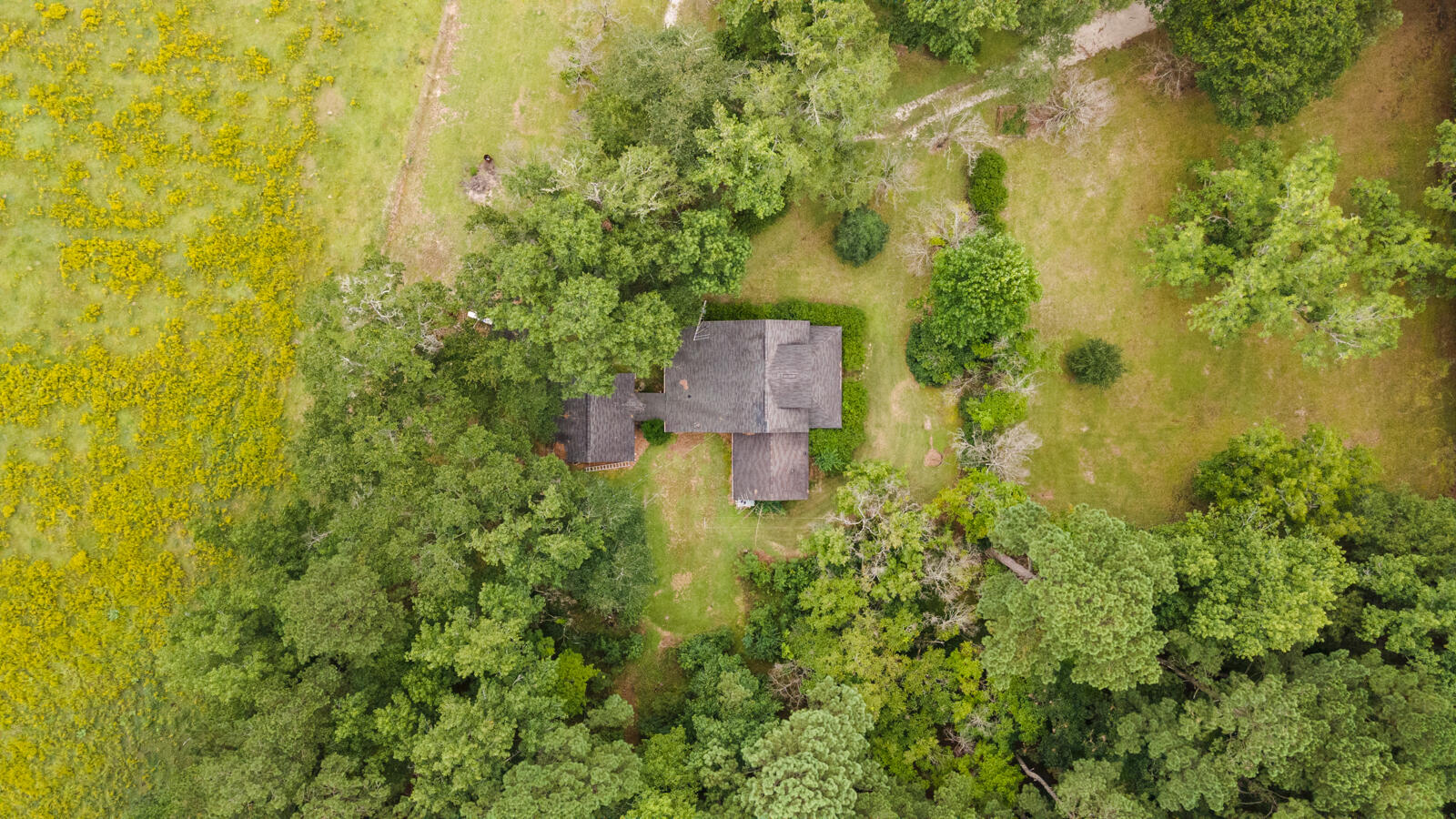 569 John Gatlin Road Bonneau, SC 29431 - Photo 5 of 37 DJI_0118