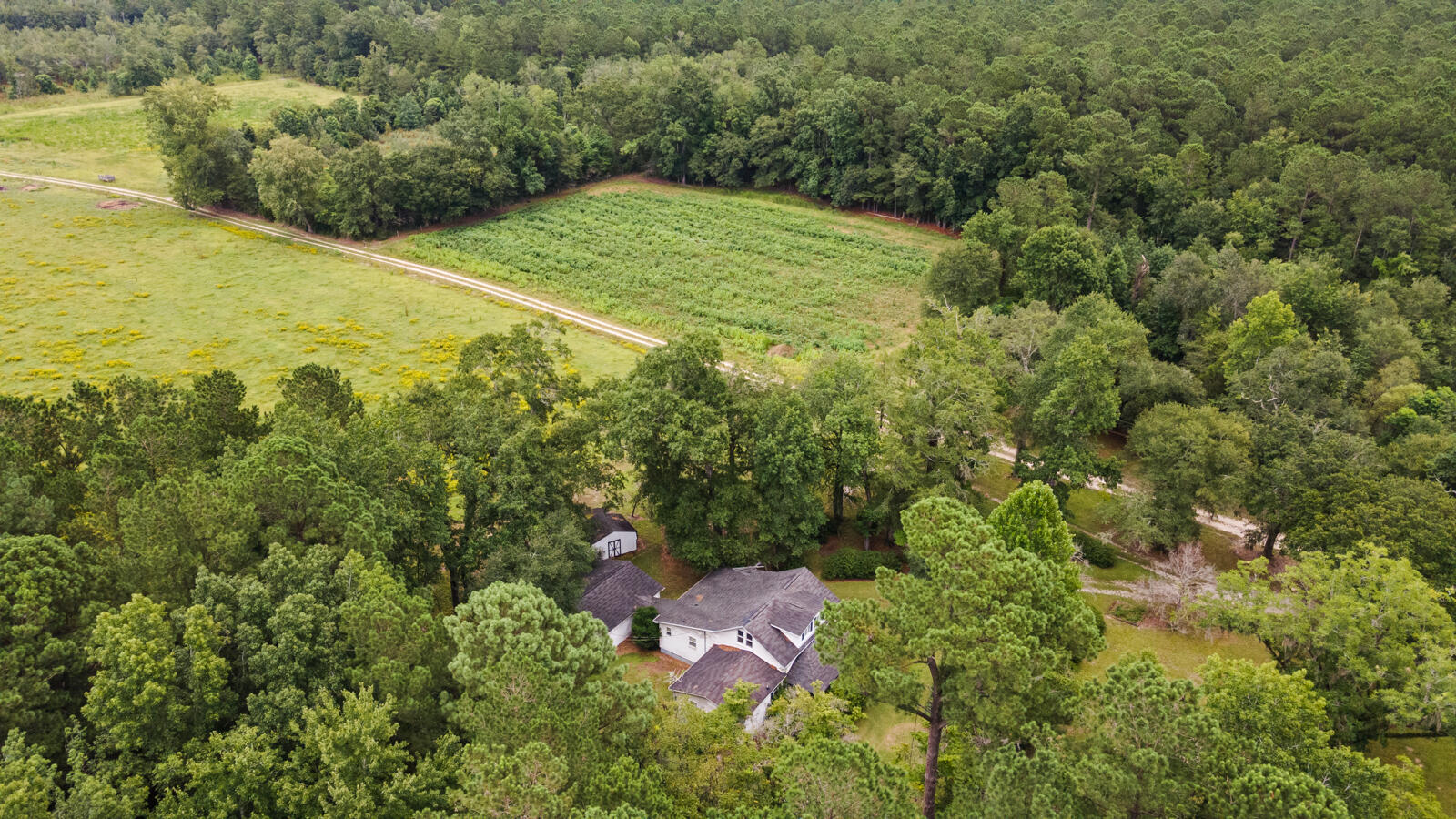 569 John Gatlin Road Bonneau, SC 29431 - Photo 6 of 37 DJI_0100