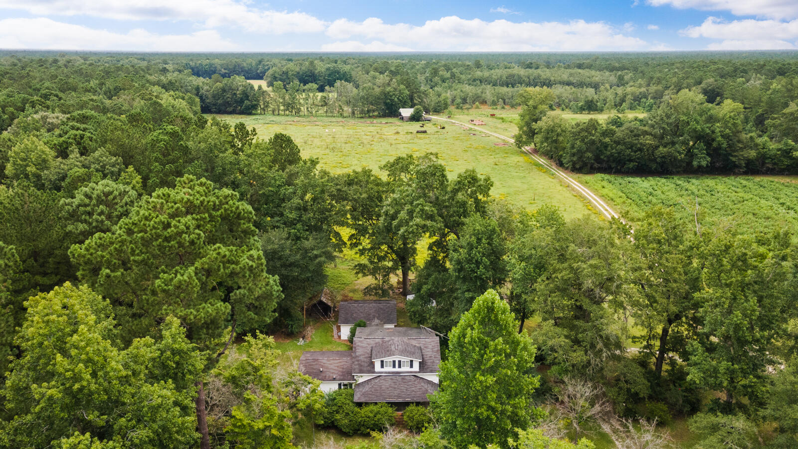 569 John Gatlin Road Bonneau, SC 29431 - Photo 7 of 37 DJI_0094