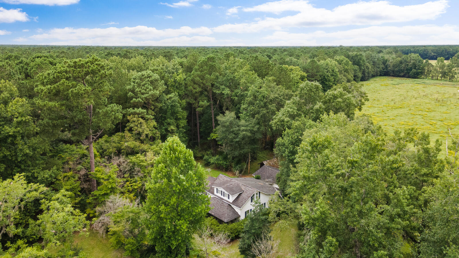 569 John Gatlin Road Bonneau, SC 29431 - Photo 8 of 37 DJI_0103