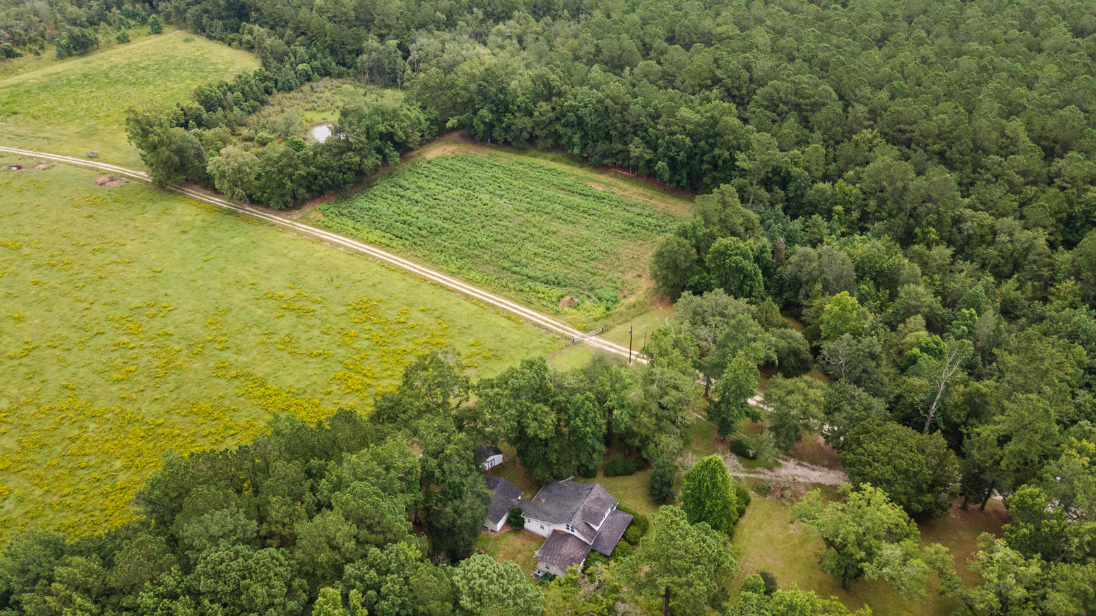 569 John Gatlin Road Bonneau, SC 29431 - Photo 9 of 37 DJI_0121