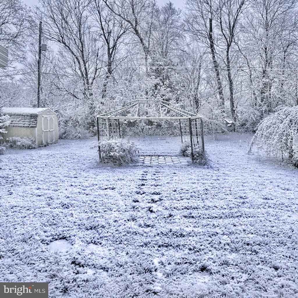 1008 Clematis Street Reading, PA 19608 - Photo 16 of 17 Backyard
