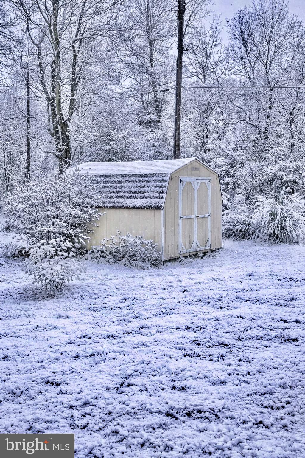 1008 Clematis Street Reading, PA 19608 - Photo 17 of 17 Shed