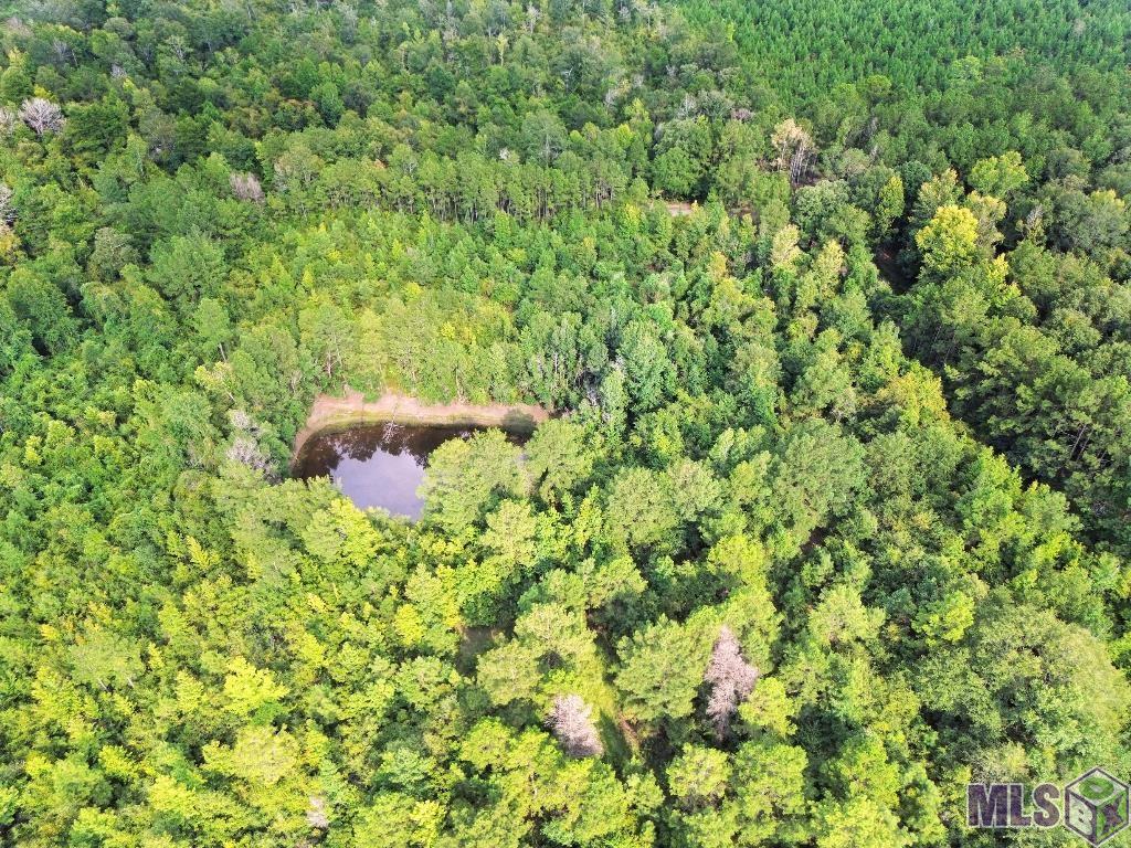 2 Roscoe Dillon Road Franklinton, LA 70438 - Photo 11 of 25 Gallery Image 11