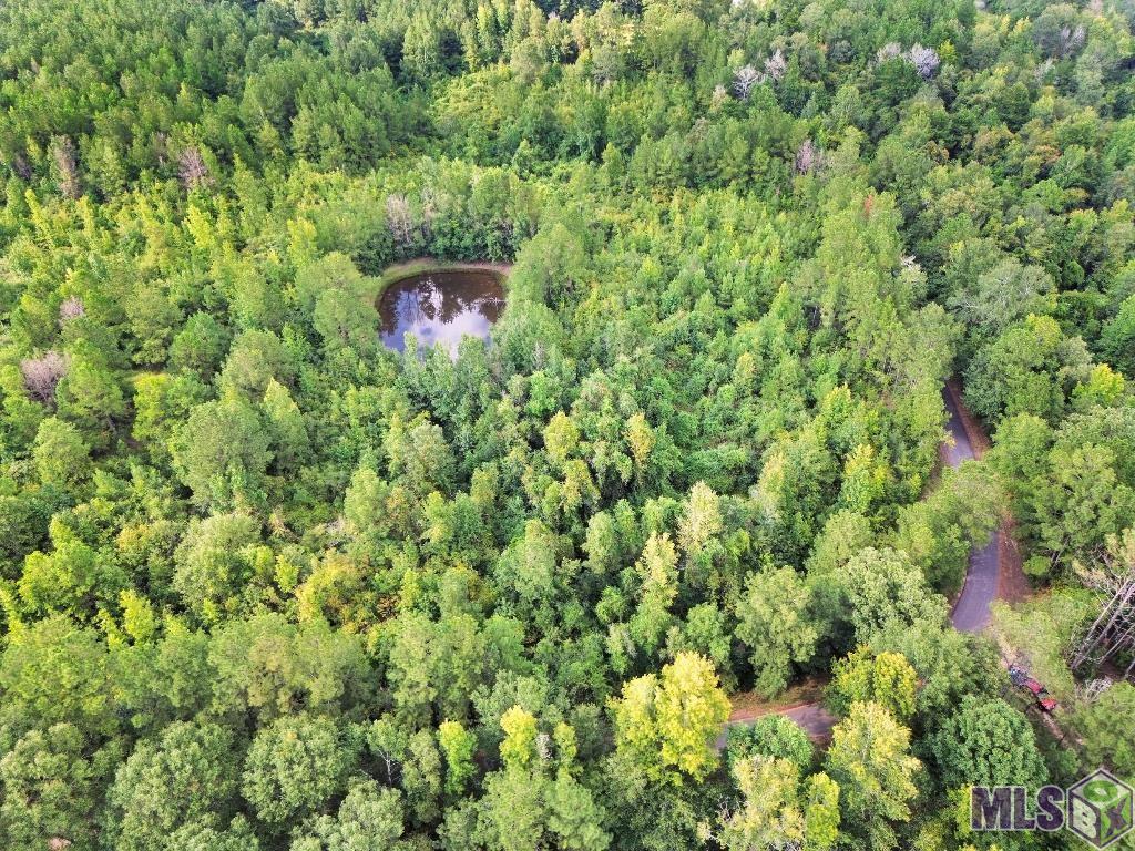 2 Roscoe Dillon Road Franklinton, LA 70438 - Photo 12 of 25 Gallery Image 12